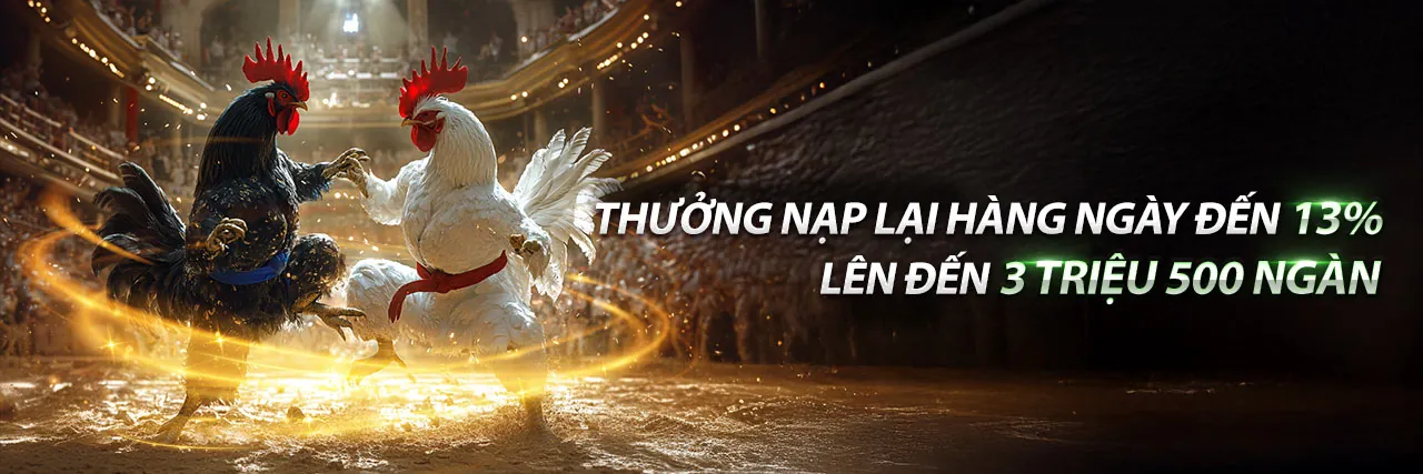 Đá gà TF88 trực tuyến hấp dẫn